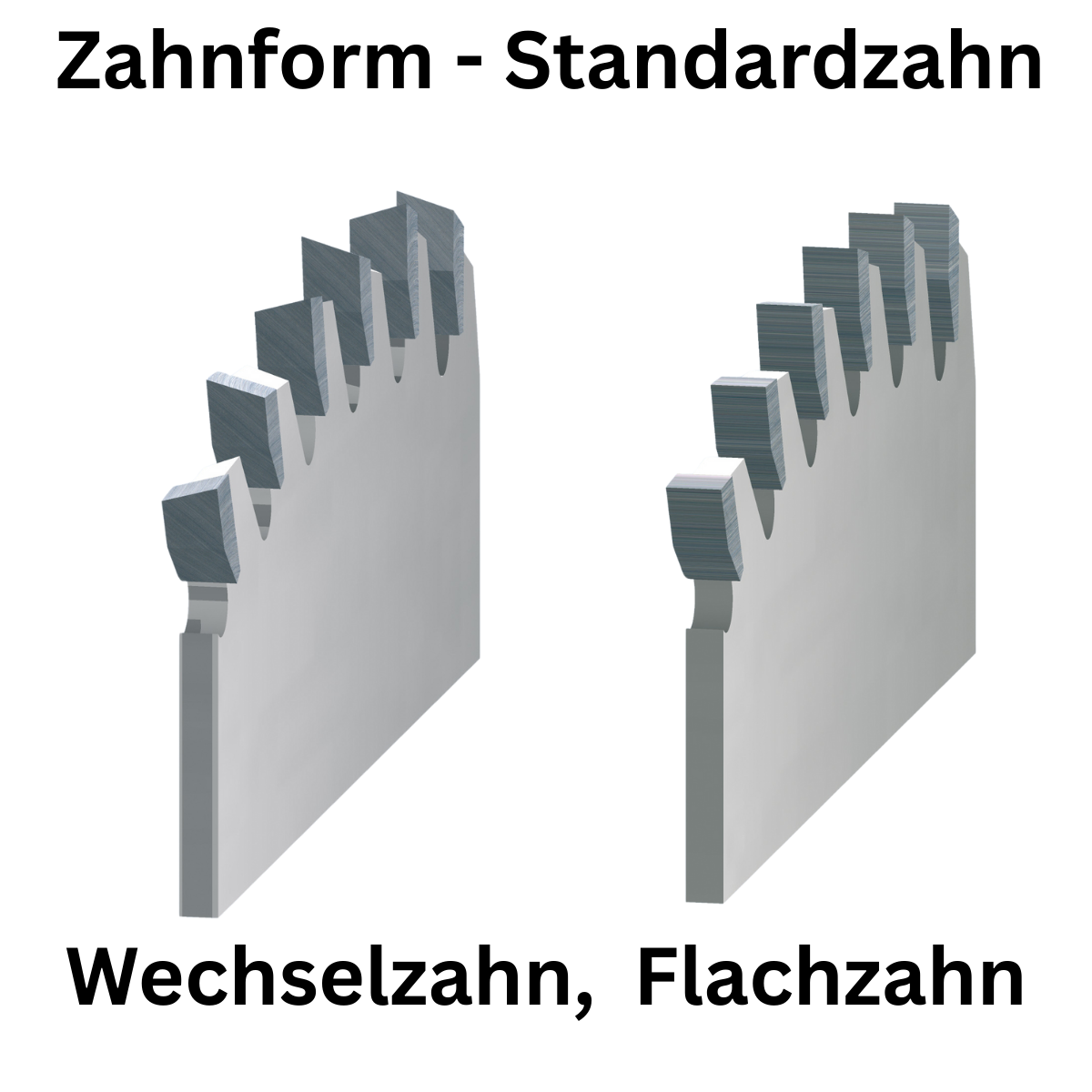 Standardzahn - schärfen.de